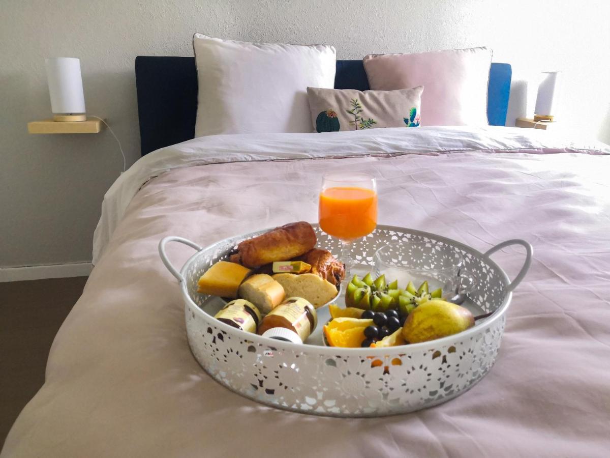 Appartement Toulouse Blagnac Aeroport Iut Parking Proche De Toutes Commodites Belle Terrasse Netflix Eksteriør billede