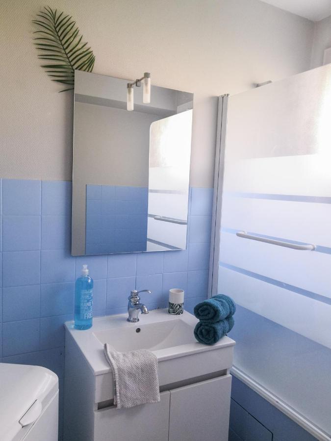 Appartement Toulouse Blagnac Aeroport Iut Parking Proche De Toutes Commodites Belle Terrasse Netflix Eksteriør billede